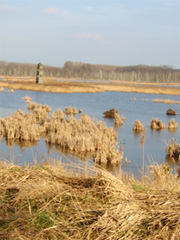 Provinciaal Domein Het Vinne